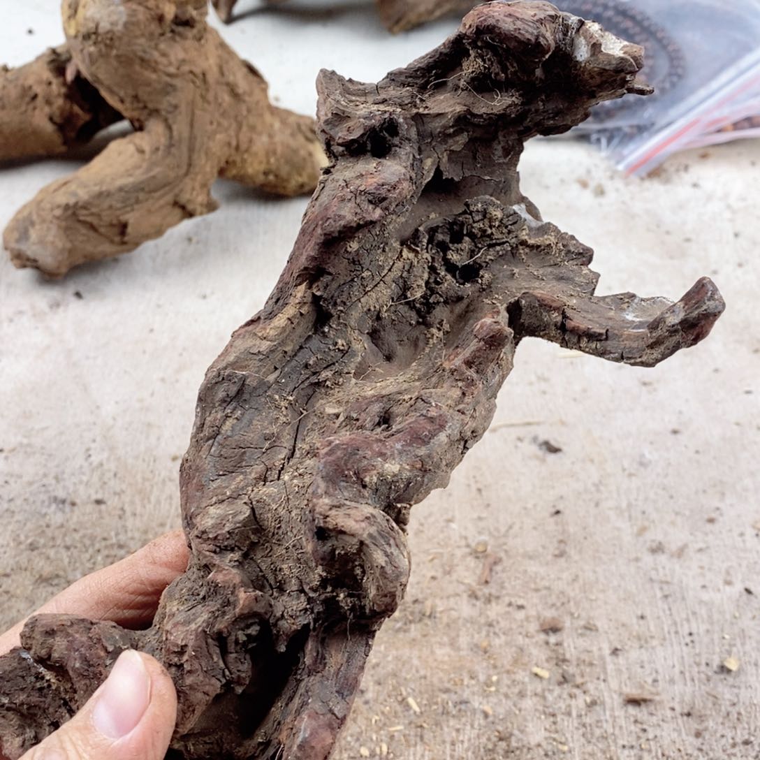 黄花梨/降香黄檀豬*爺