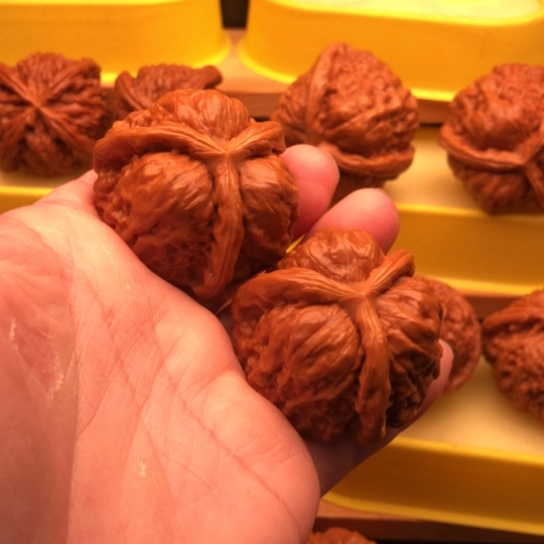 飒***核桃核桃核桃核桃