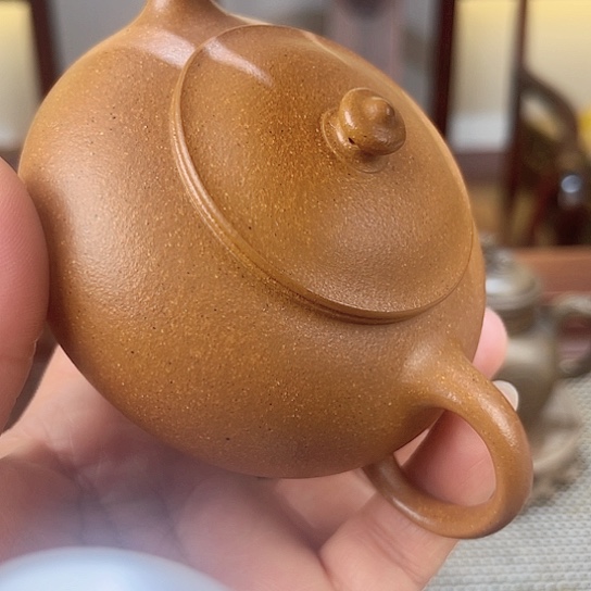 紫砂茶壶今天不知道