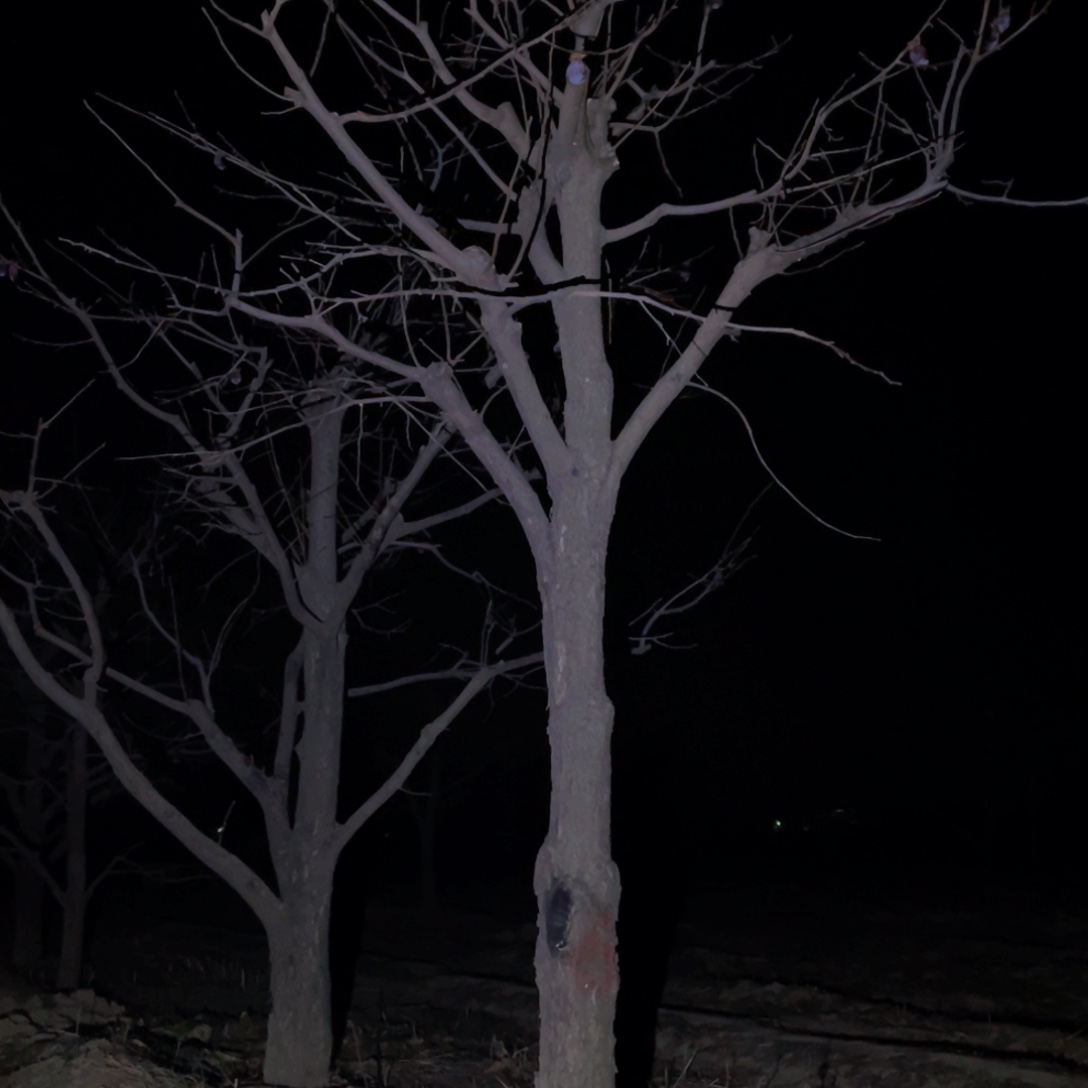 完全开放一物一拍