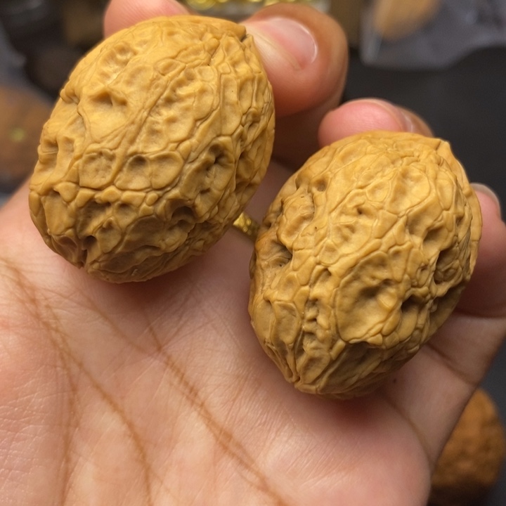 把件文玩核桃34尺穿山甲