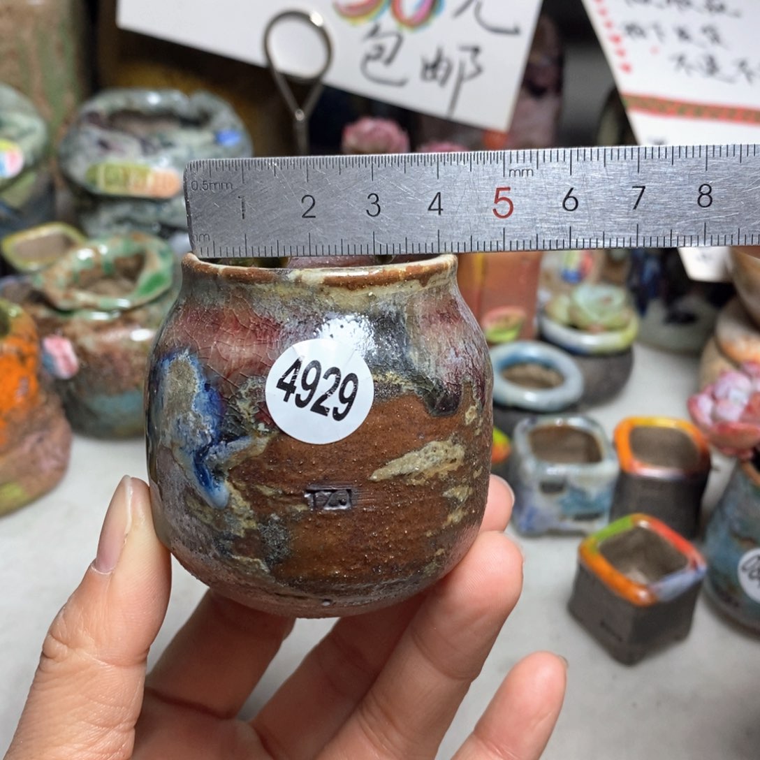 花盆拍5送一个小礼物