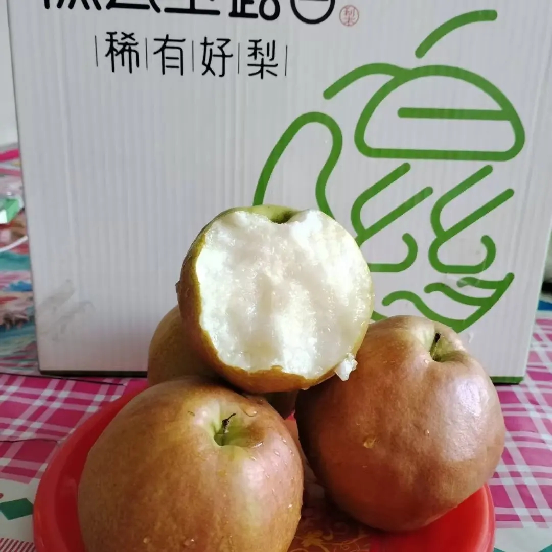 【0004S1】山西隰县玉露香梨皮薄爆汁带果秀洞脆甜多汁9颗8斤