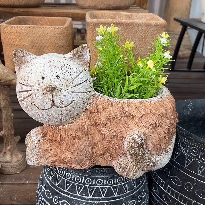 高20长26口12.5，856655