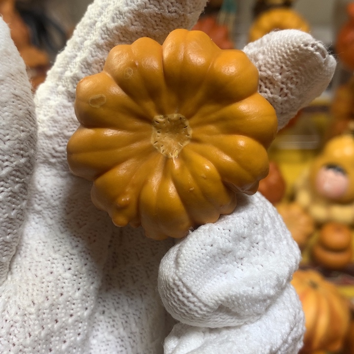 求讲解在拍3号链接