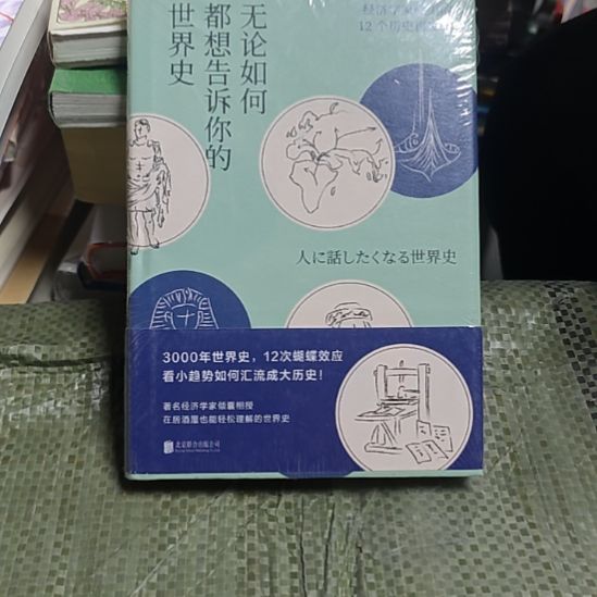 无论如何都想告诉你的世界史