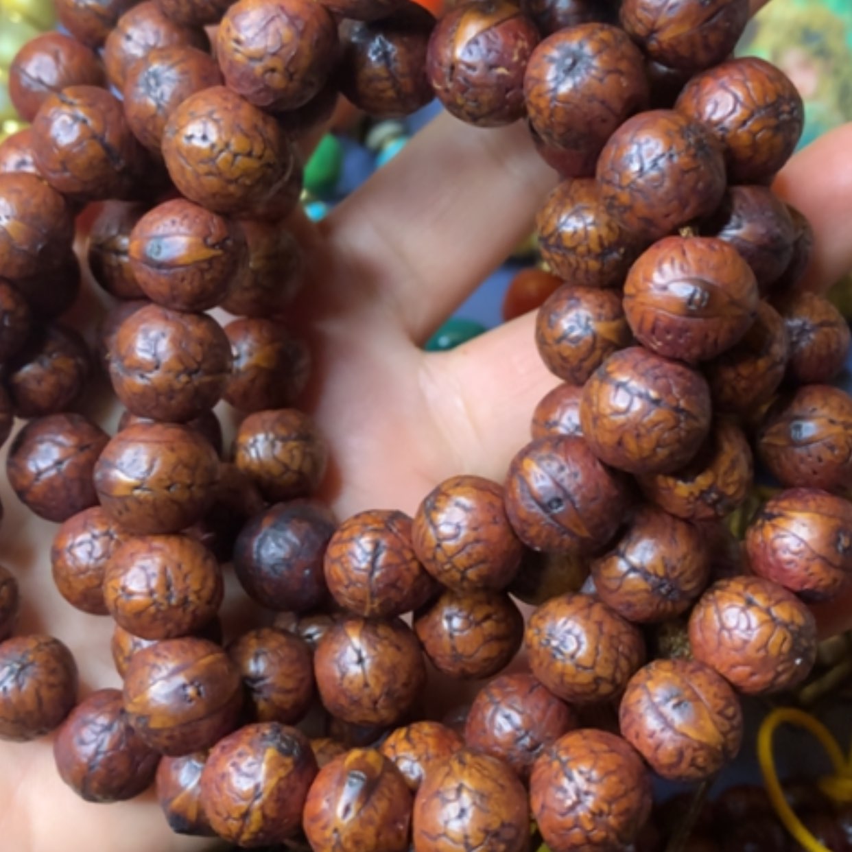 【闪购商品】风车木（黑檀木）