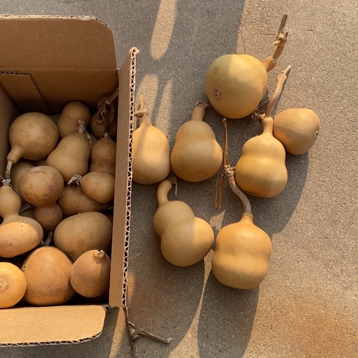 葫芦葫芦一堆包邮色差