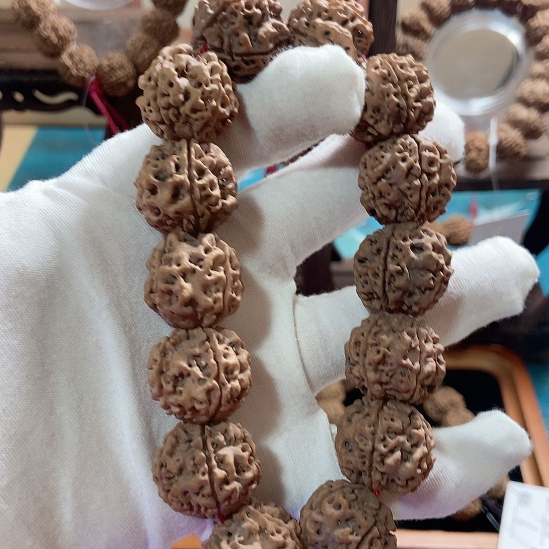 金刚菩提手串20 十年老籽