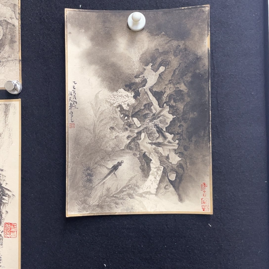国画手绘国画，鱼乐图，汪天泰，宣卡
