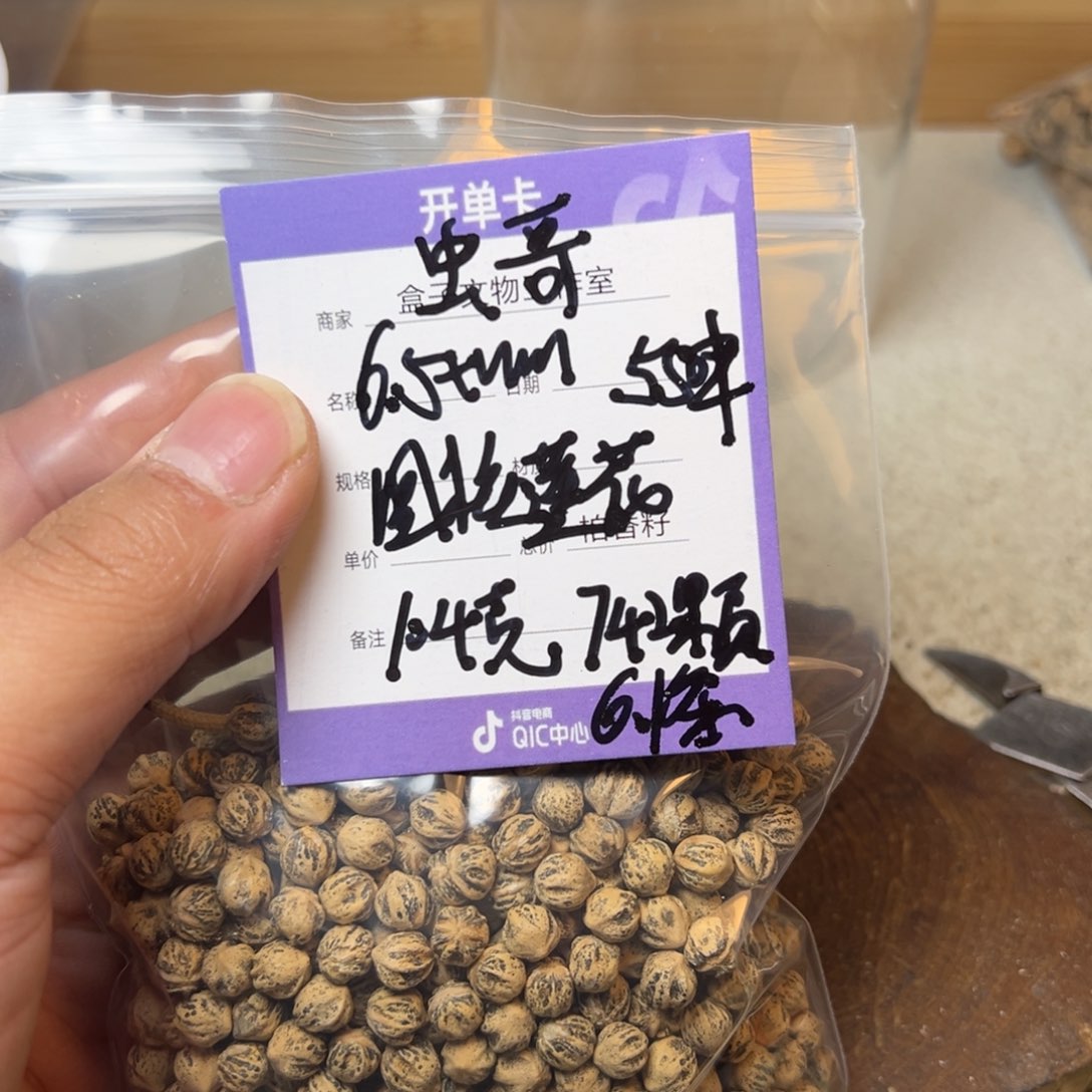 柏香籽/百香籽吊坠虫*圆桩莲花