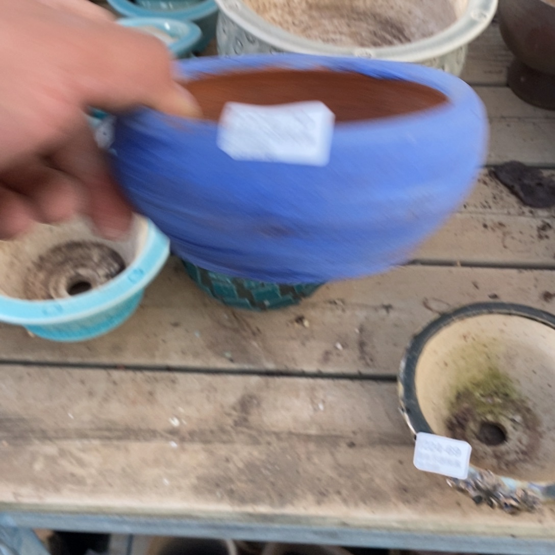 70号花盆内11高5花盆