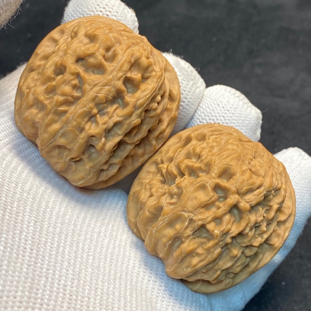 38全品西北将军膀核桃（0662）一物一图。边38肚42/43高38