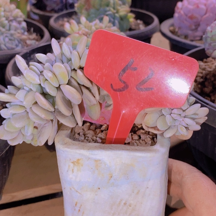 是啊那也不能用啦