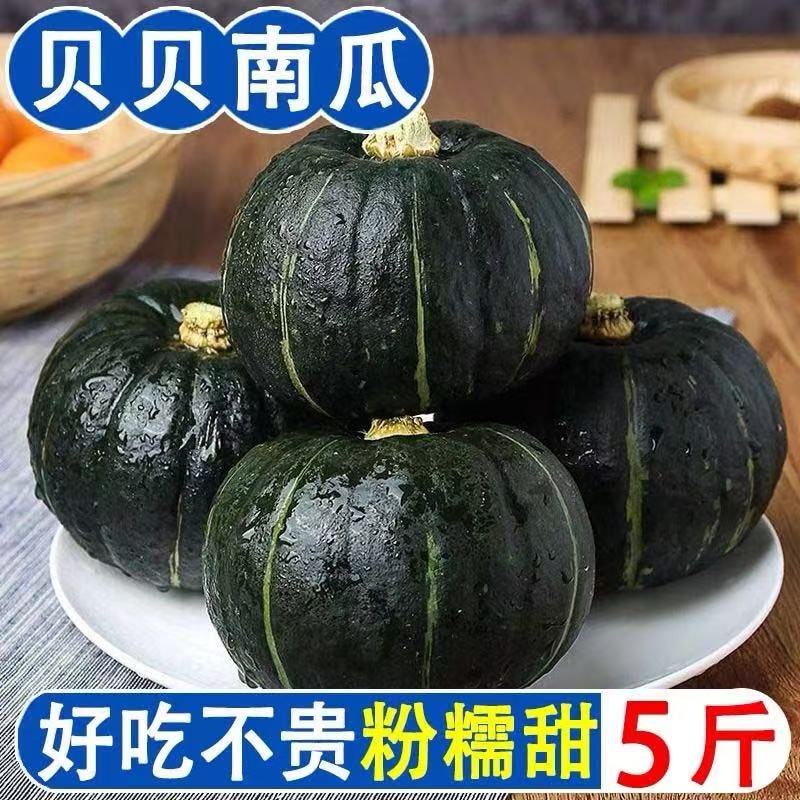 【正宗贝贝】贝贝南瓜新鲜上市板栗味粉糯香甜适合宝宝辅食