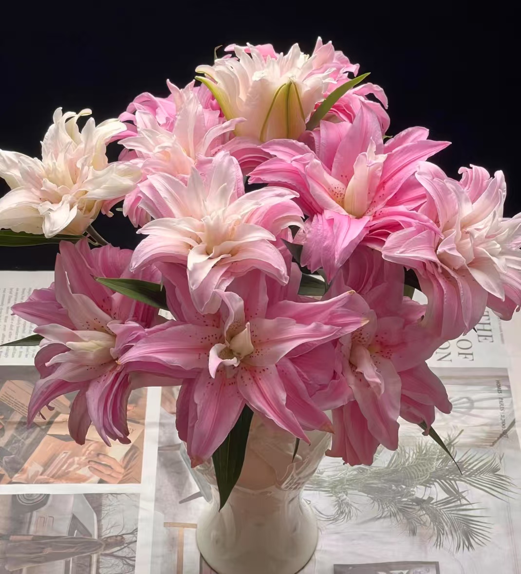 【自由女神】戴安娜王妃重瓣香水百合