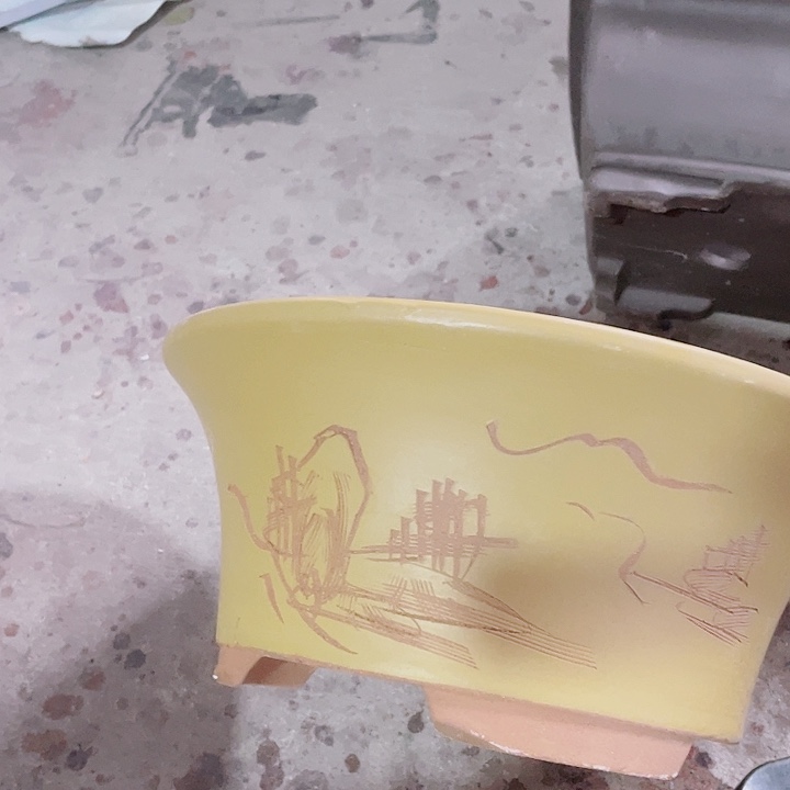 紫砂33黄票口还有P海洋食品