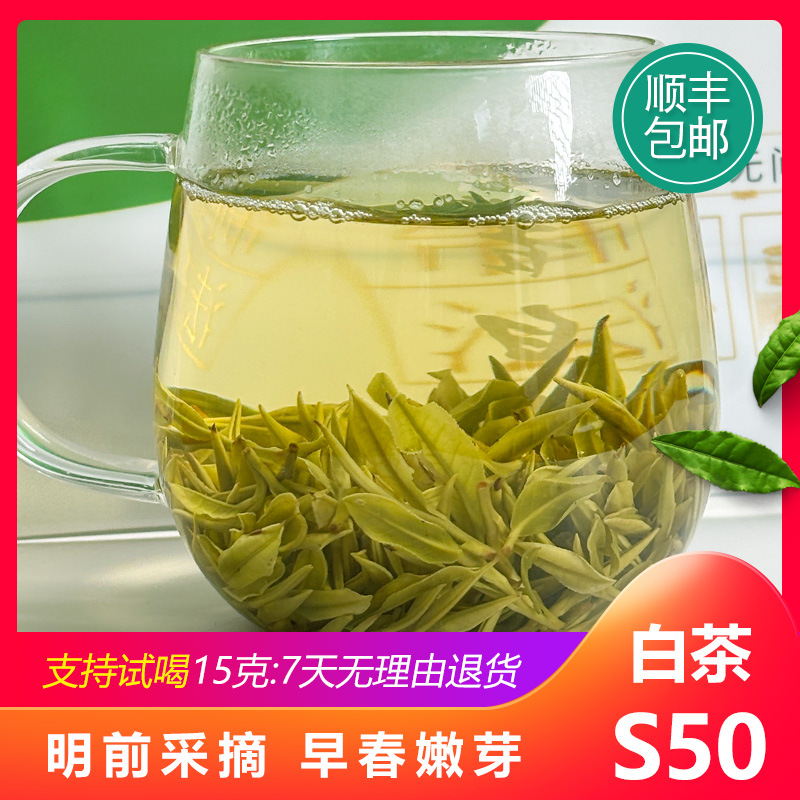 S50浙江安吉正宗白茶2025年新茶800米高山茶鲜爽回甘