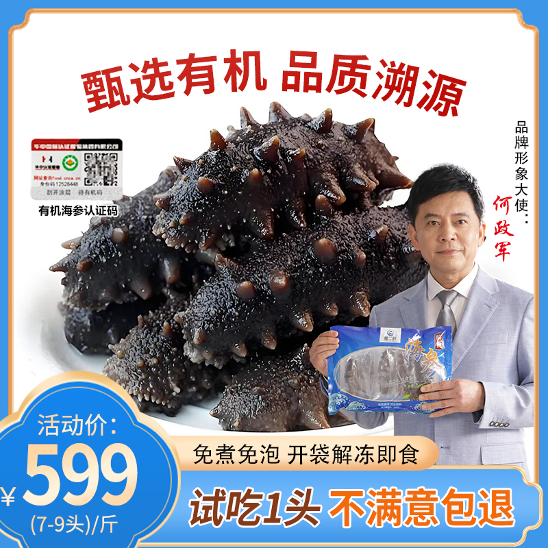 董二胖【日常价】8A小参王5-6头1斤品质鲜食海参口感劲道大连直发
