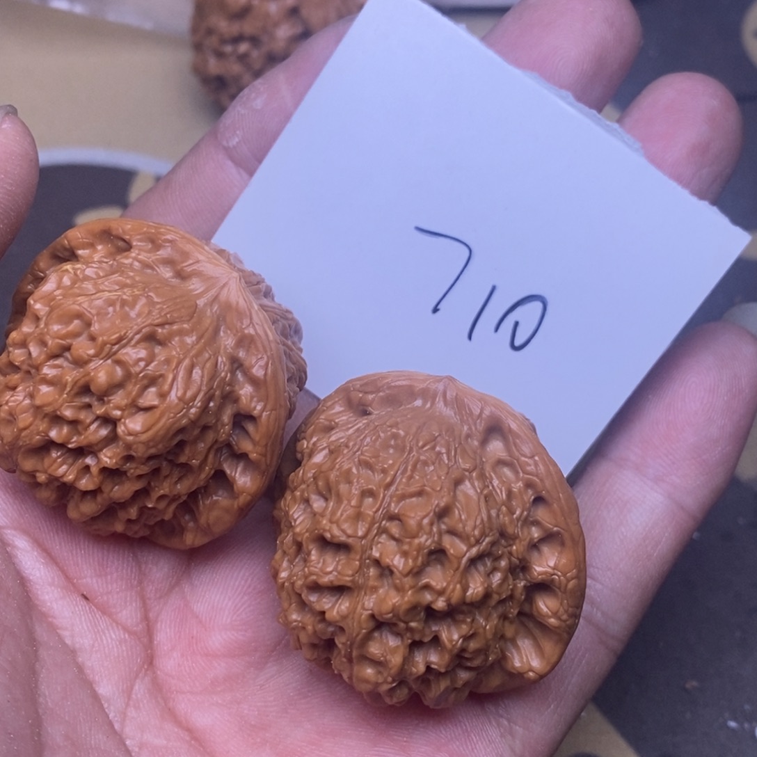 核桃血麒麟尺寸39