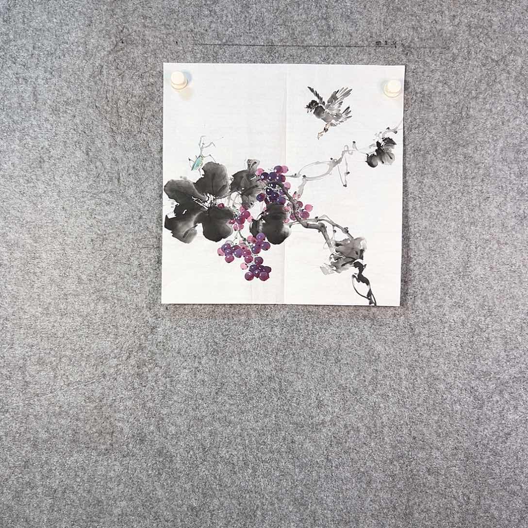 国画591 花鸟也可以用这种颜色