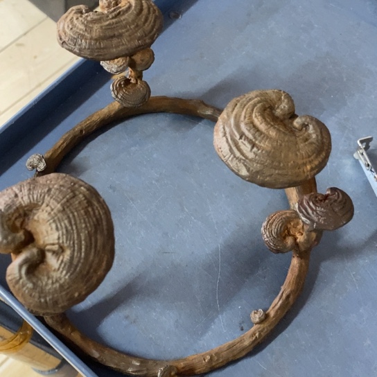 紫砂茶杯好物分享哈哈哈哈哈