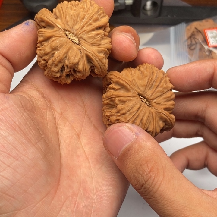 核桃手串/手链48毕业球酱