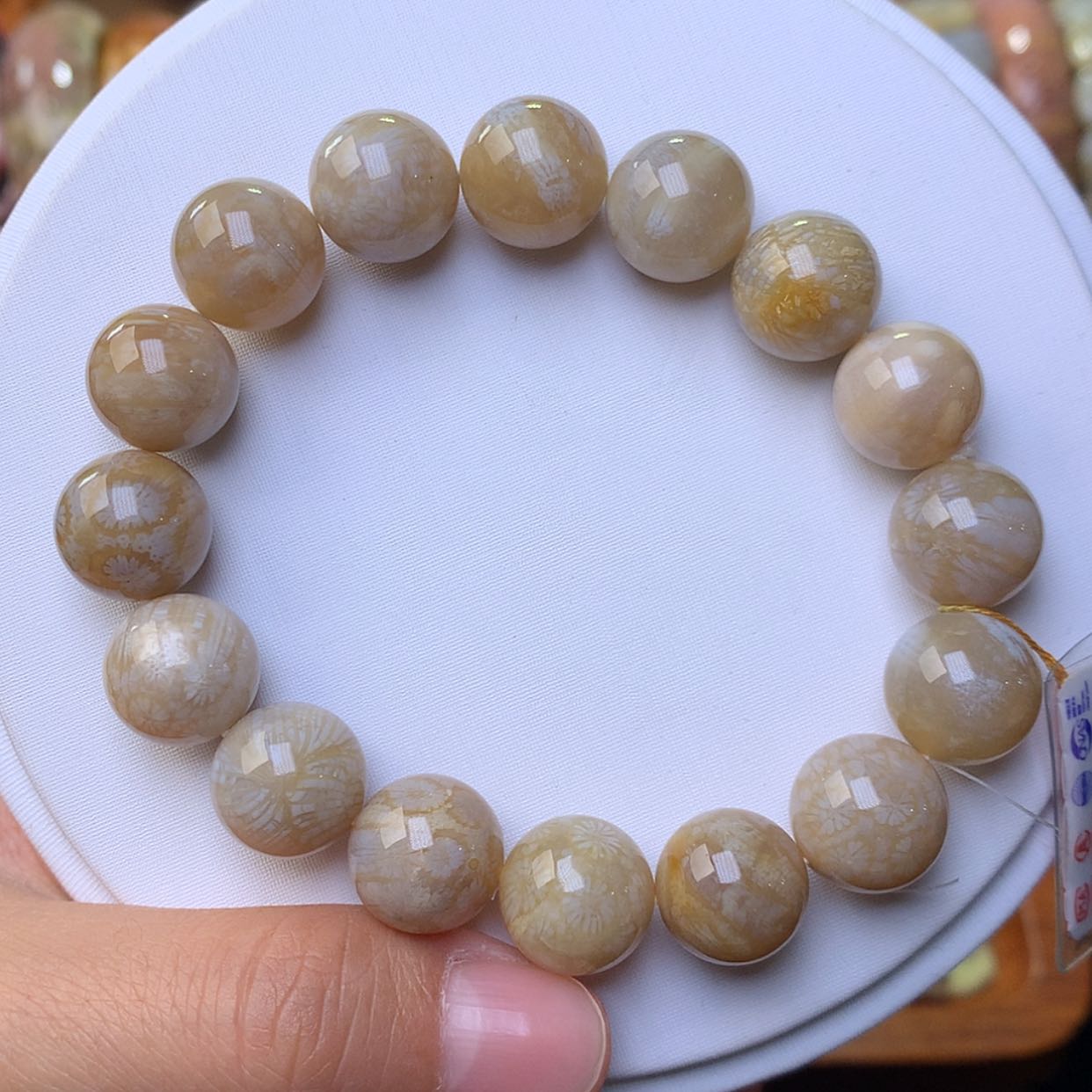 【闪购商品】硅化珊瑚（珊瑚玉）手链未镶嵌高冰满色满花88漏