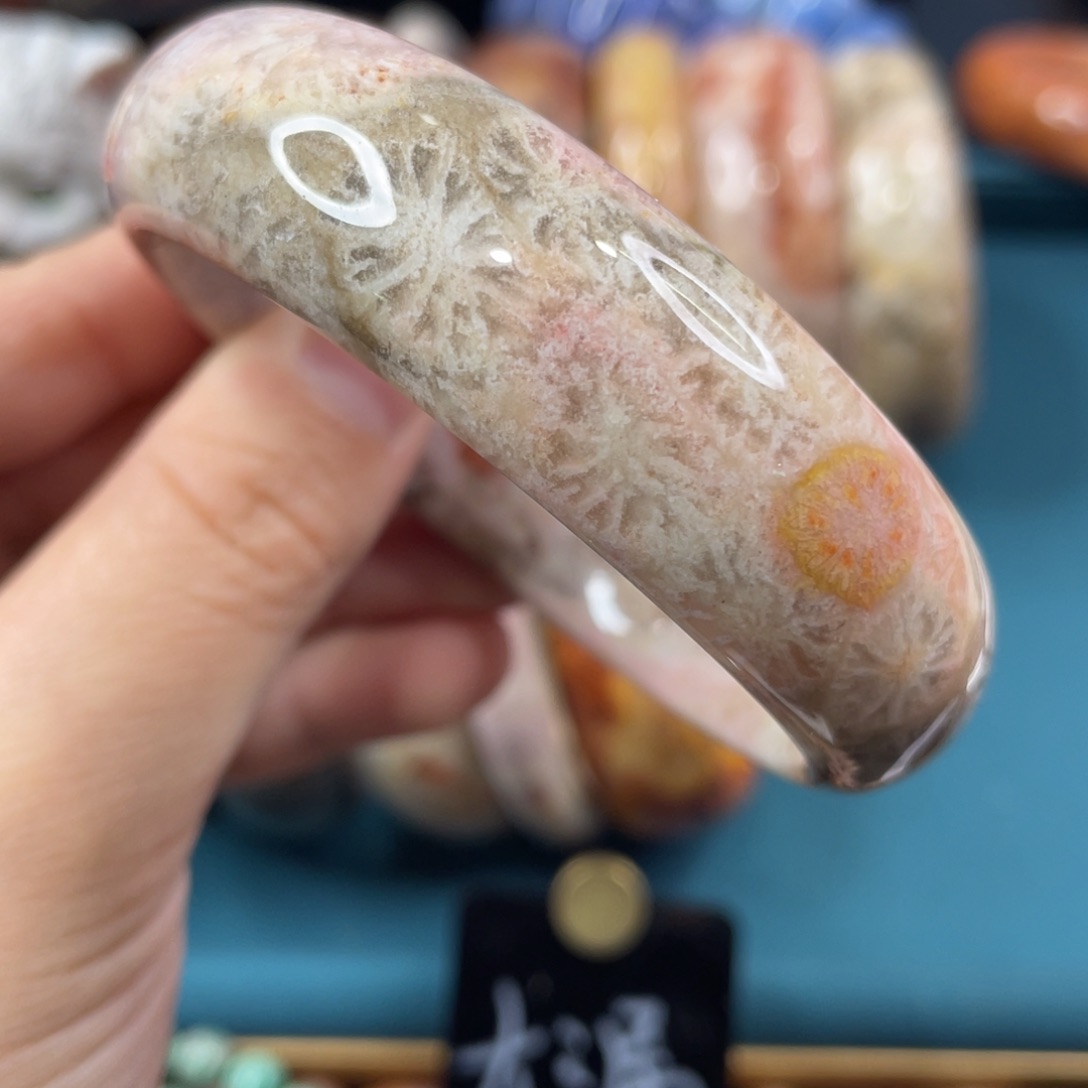 未镶嵌手镯硅化玉