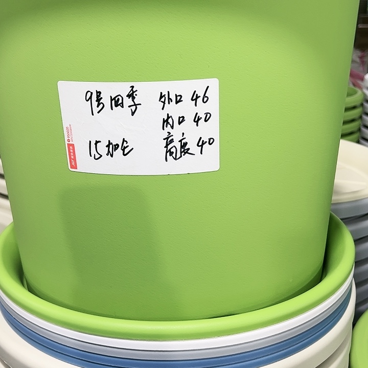 特价9号四季口46高40果绿色4个无托