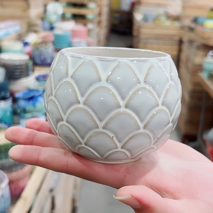 花盆有孔！订单凑满10米包由！