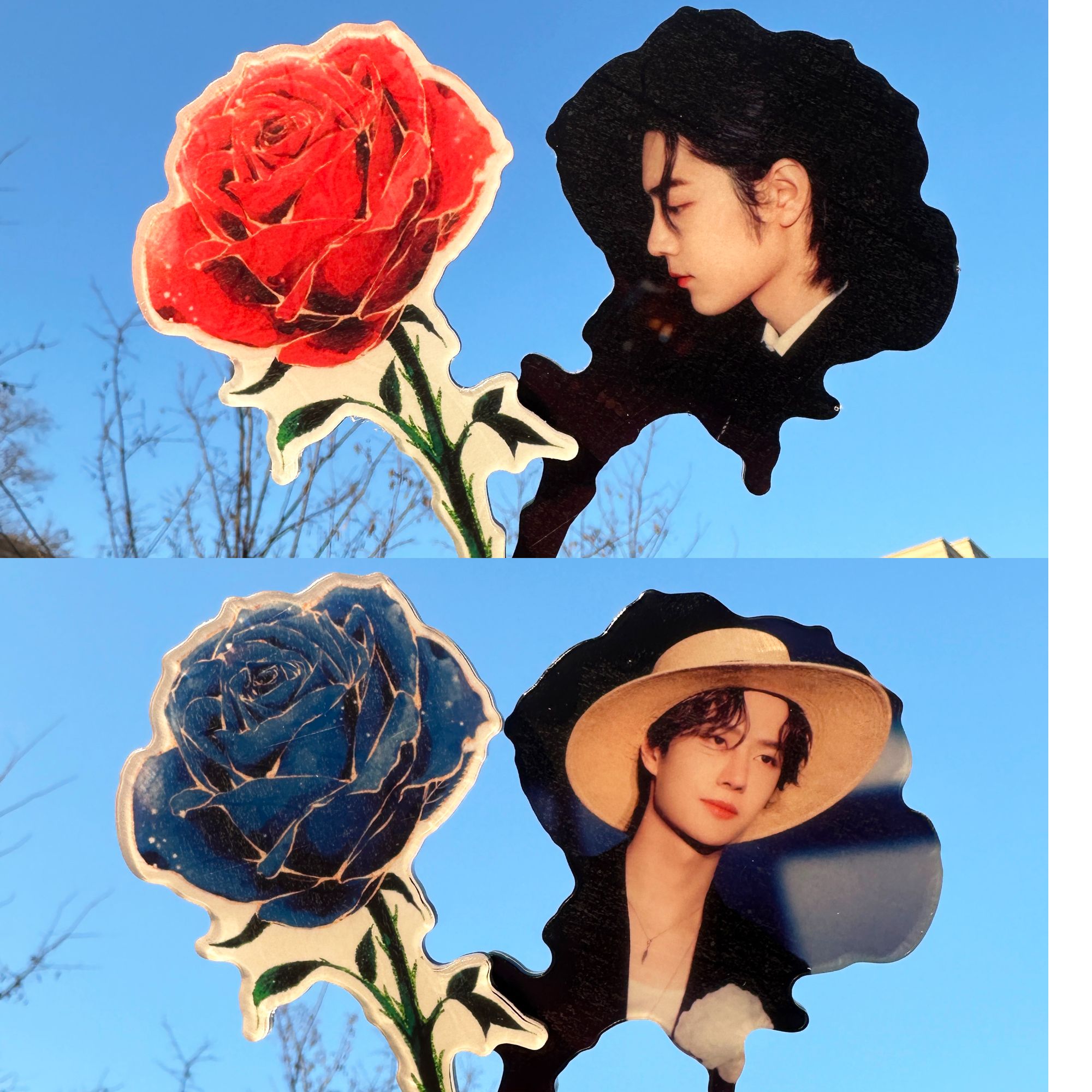 玫瑰花 双面亚克力 肖战王一博博君一肖