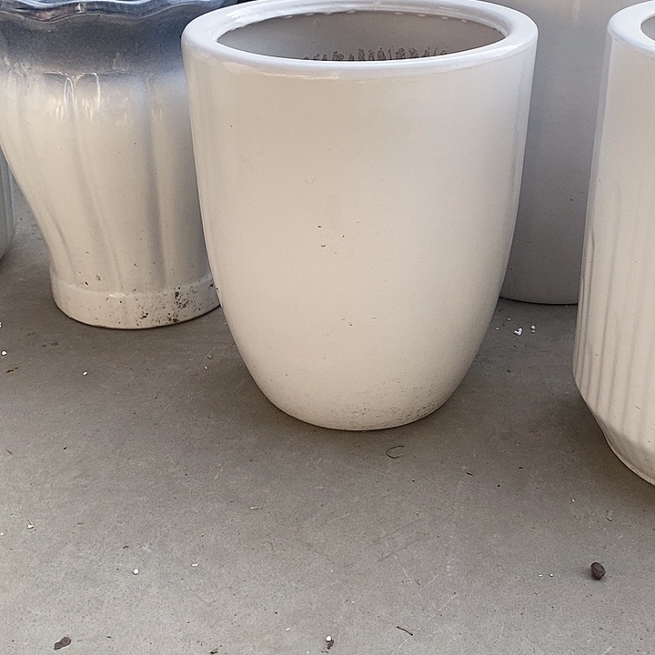 白锥中口26高32福利