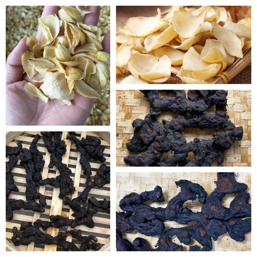 【生长20-25年份】黄一精一九华山 九蒸九晒九露  土特产 搭百合干