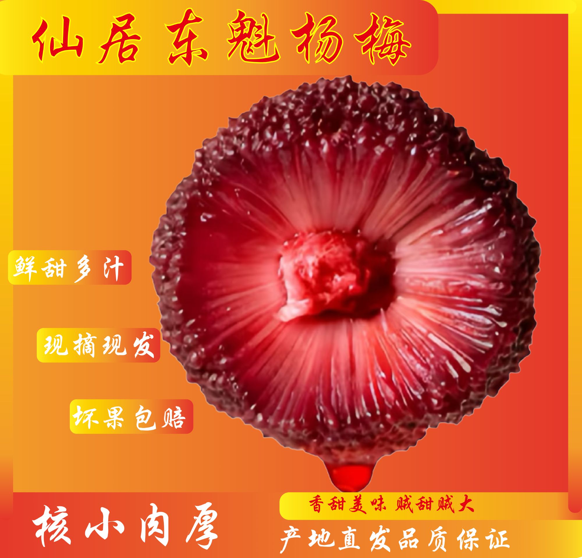【仙居东魁杨梅】每日新鲜现顺丰冷运锁鲜特大果精品颗粒礼盒装