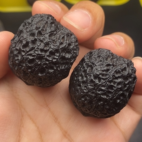 文玩核桃把件37尺蛇皮球