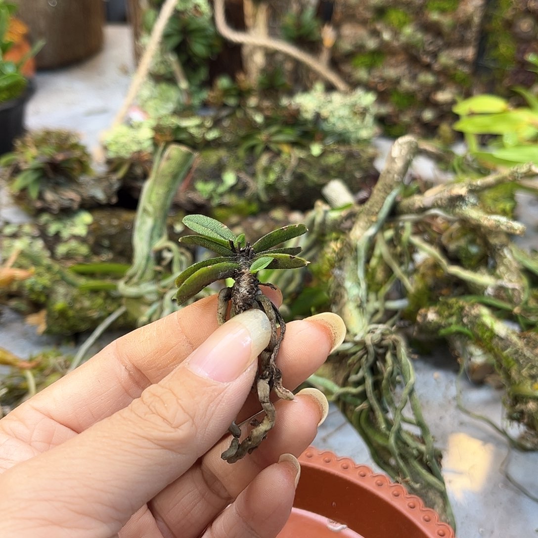 向**葵10。。。。。。。。。。。。。