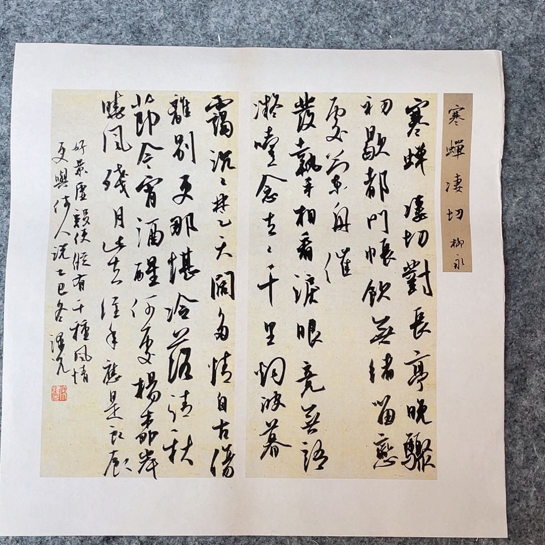 书法国展书家廖泽光34×34