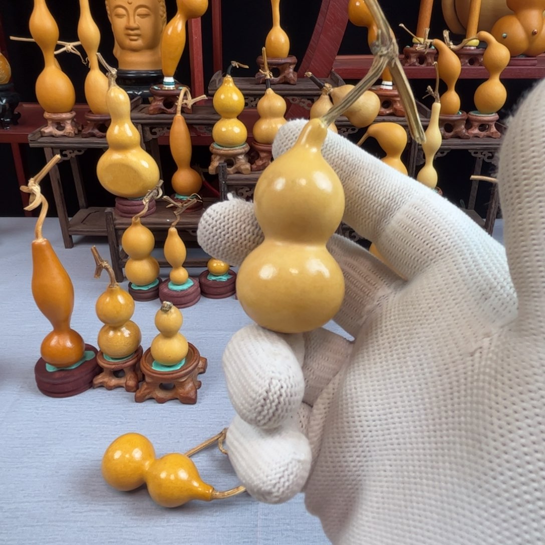 佬***k藤木我的小可爱，一点也不像个女孩