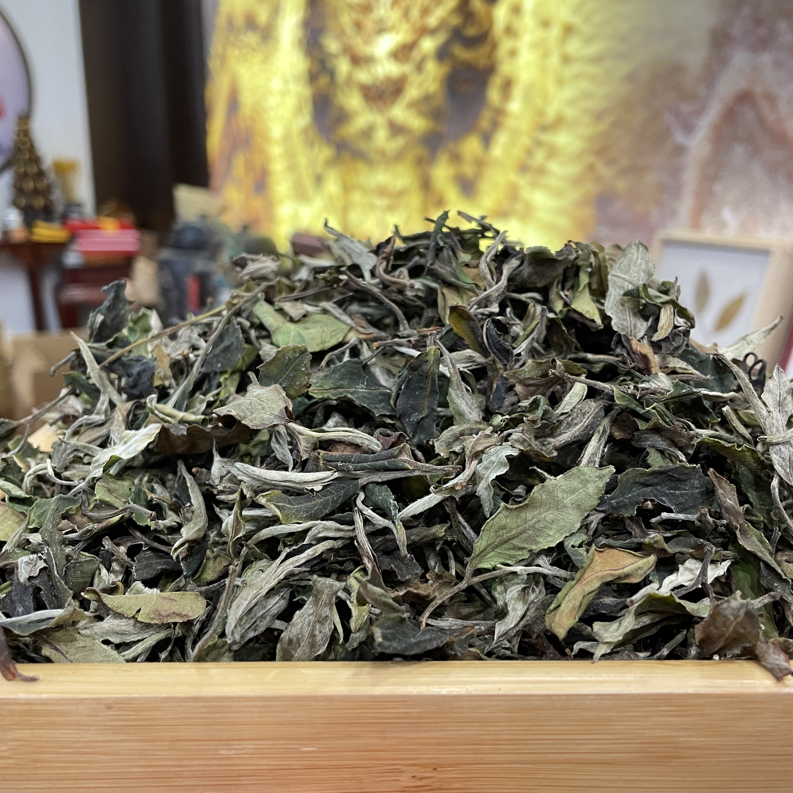 2025年 曼松王子山·明前 白茶 散茶 250g