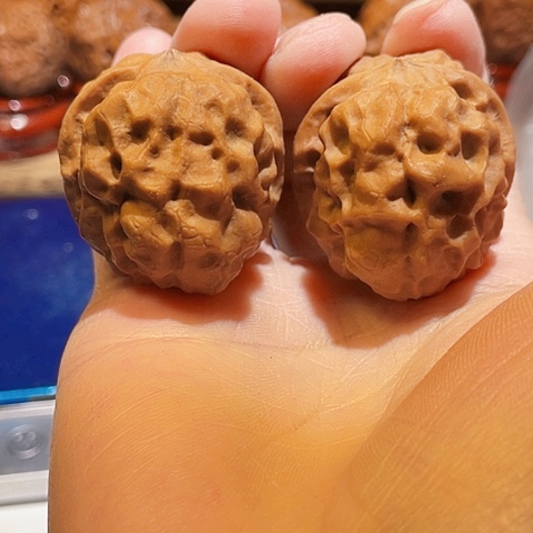 文玩核桃把件虎头金尊带彩39