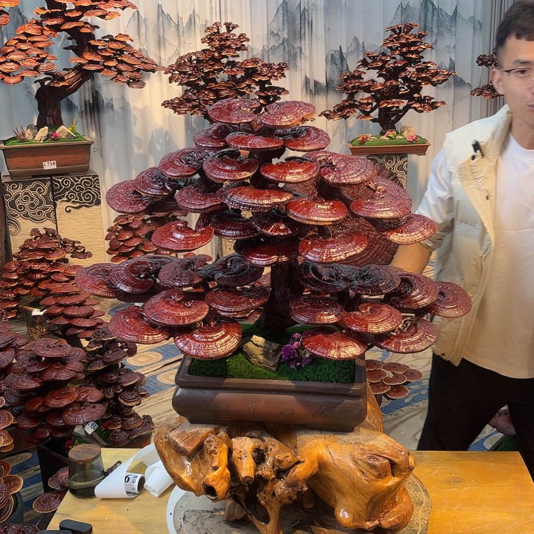 无花朵8888888888888