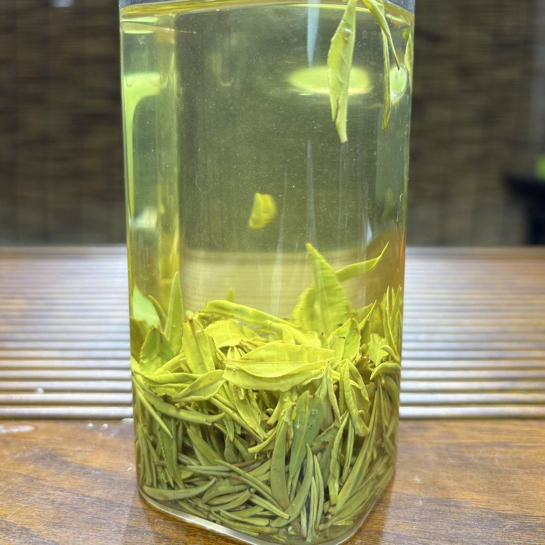2025年信阳毛尖浓香型片片茶