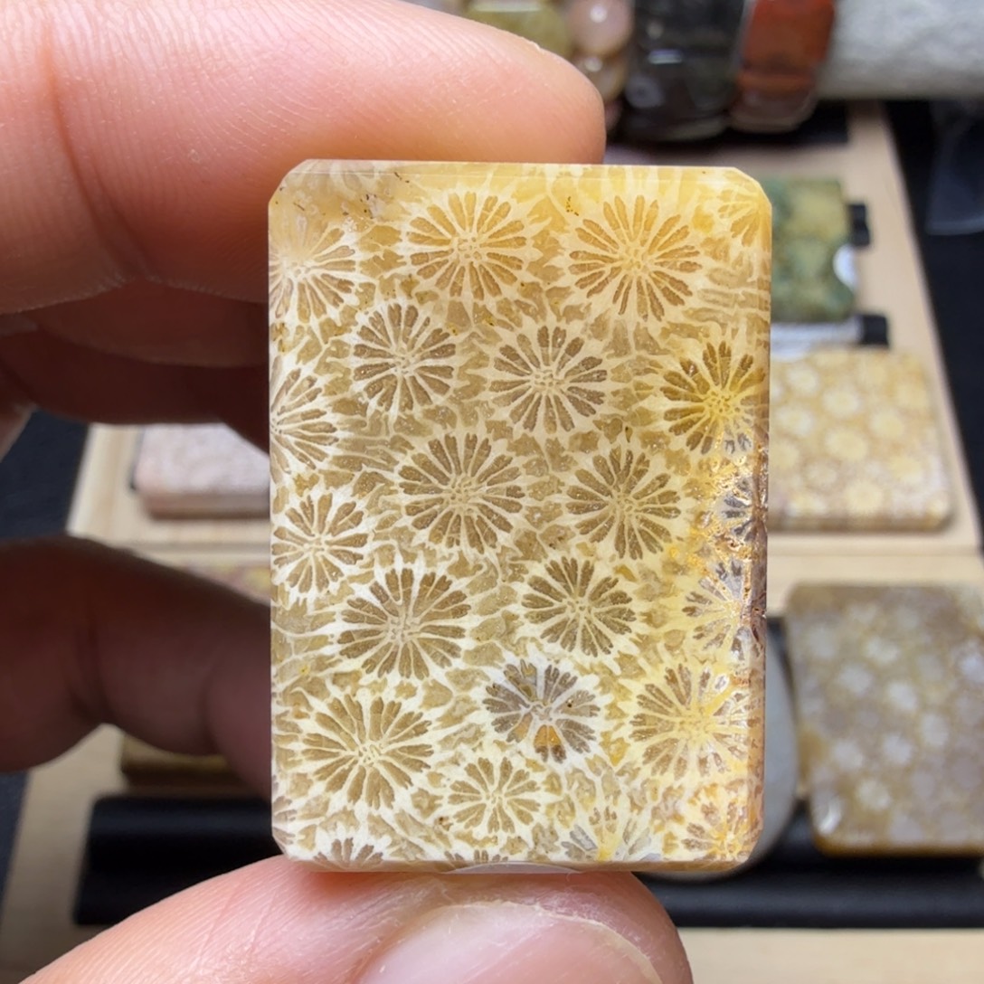 硅化玉未镶嵌纯天然色有机玉石保真色