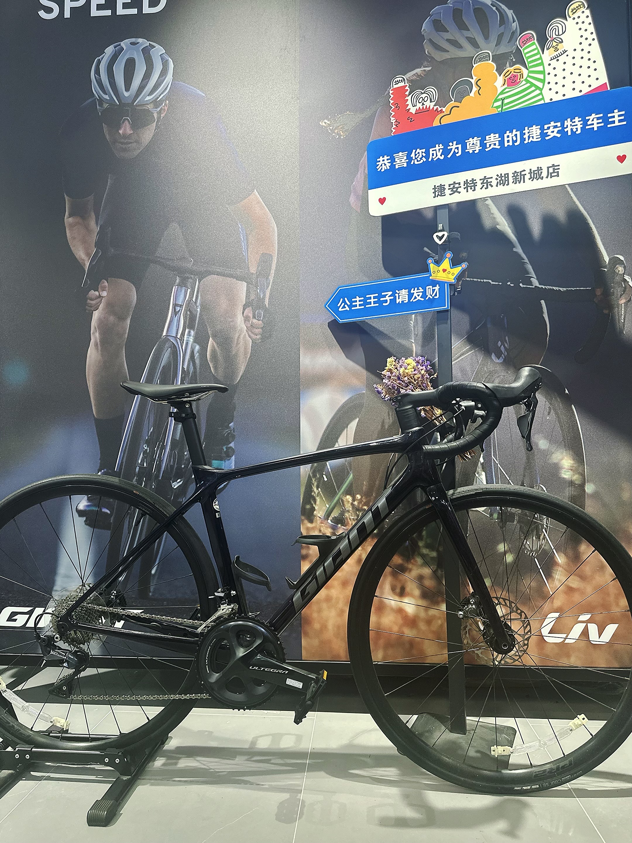 Giant/捷安特【二手专区】九代TCR ADV PRO自组车