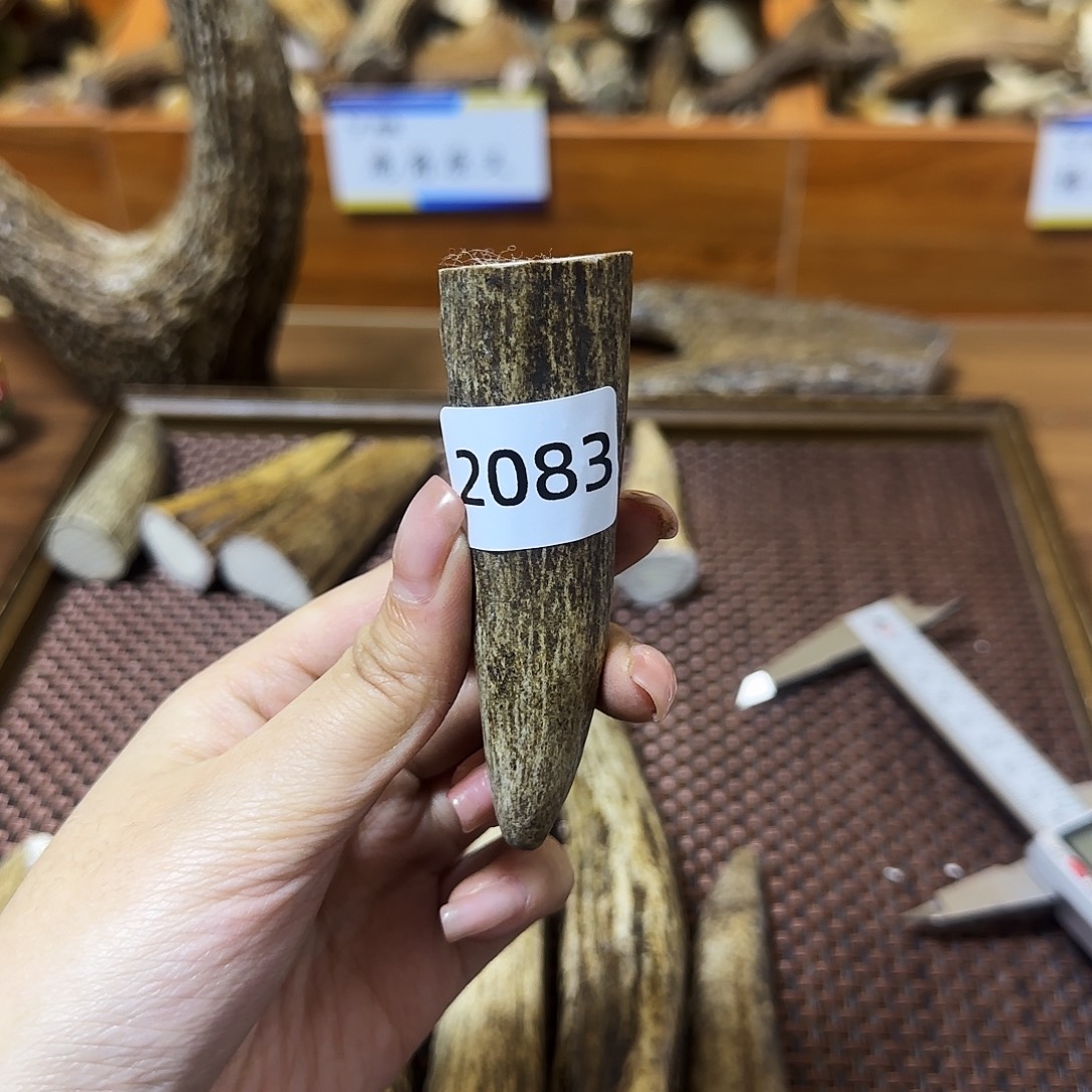 手串/手链鹿骨角尖2083