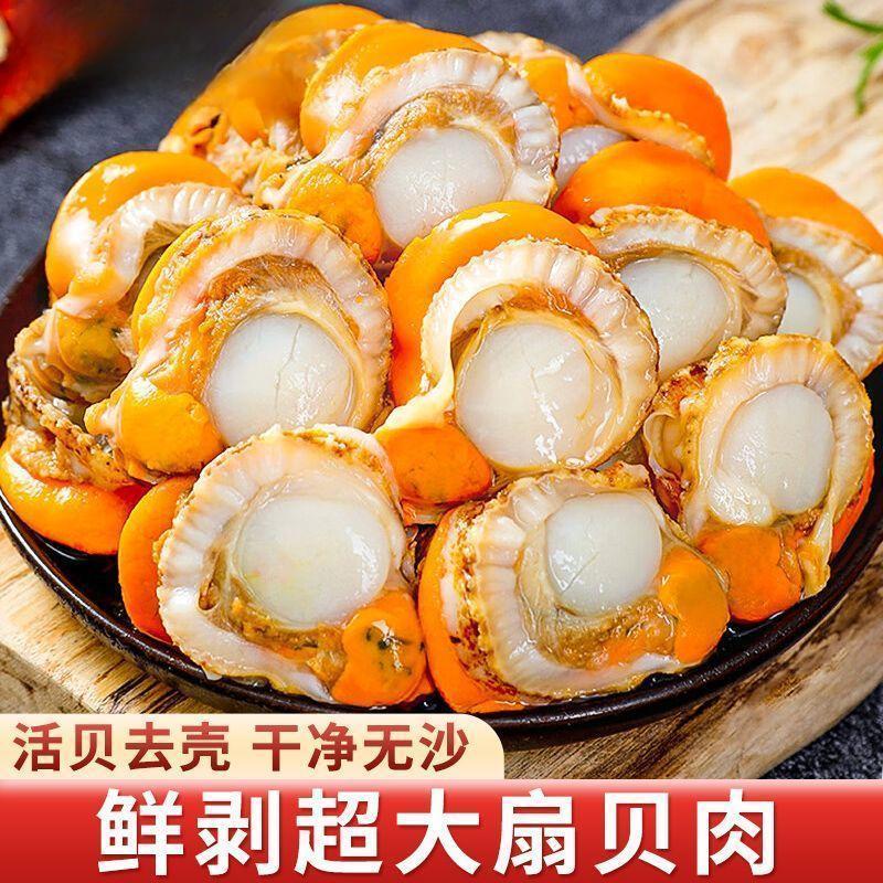 【肉质肥厚】新鲜现剥大号扇贝肉带膏带黄干净无沙海其他零食