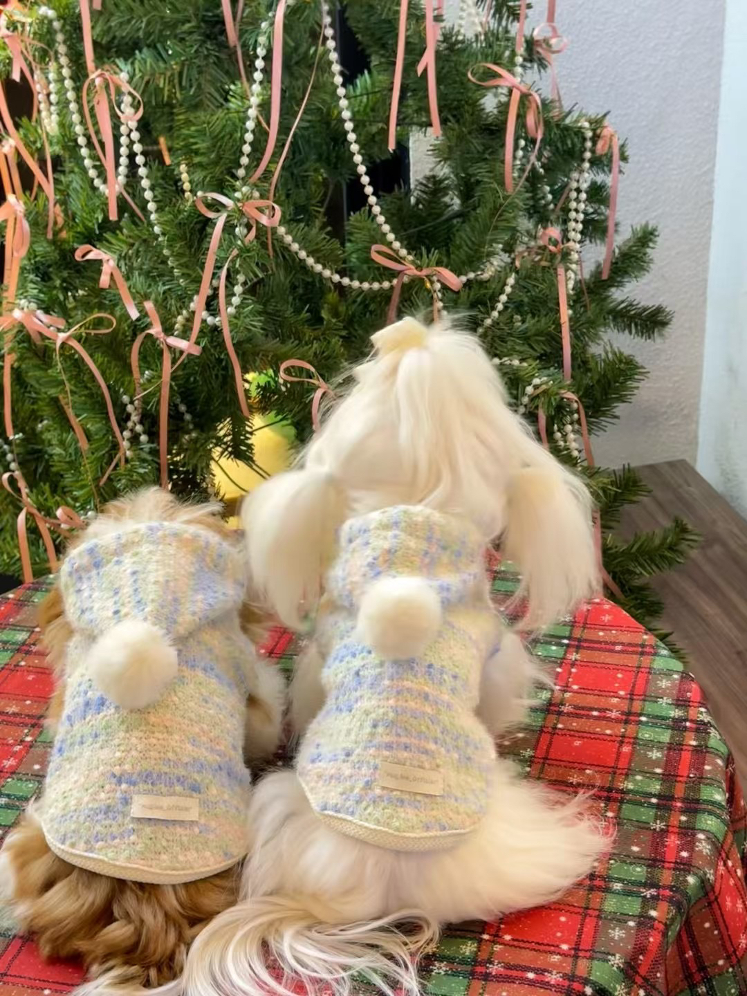 宠物服饰水貂绒毛球系列～