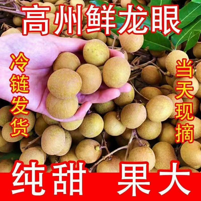 A1【顺丰包邮】广东新鲜石硖龙眼现摘现发清甜多汁肉厚饱满当季水果