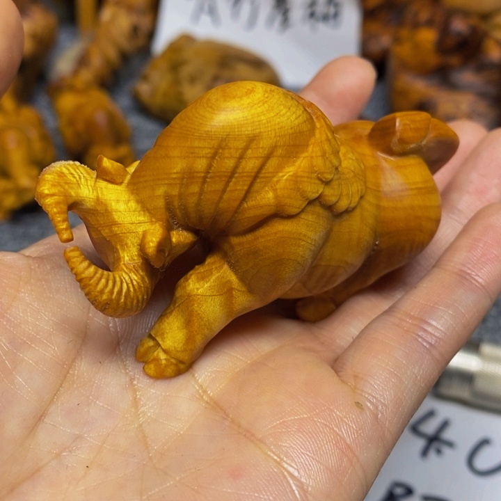 柏木（崖柏）崖柏25